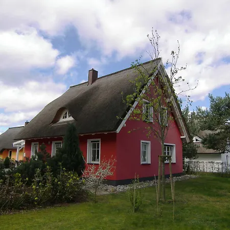 Ferienhaus _moewe_ * Stubbenfelde